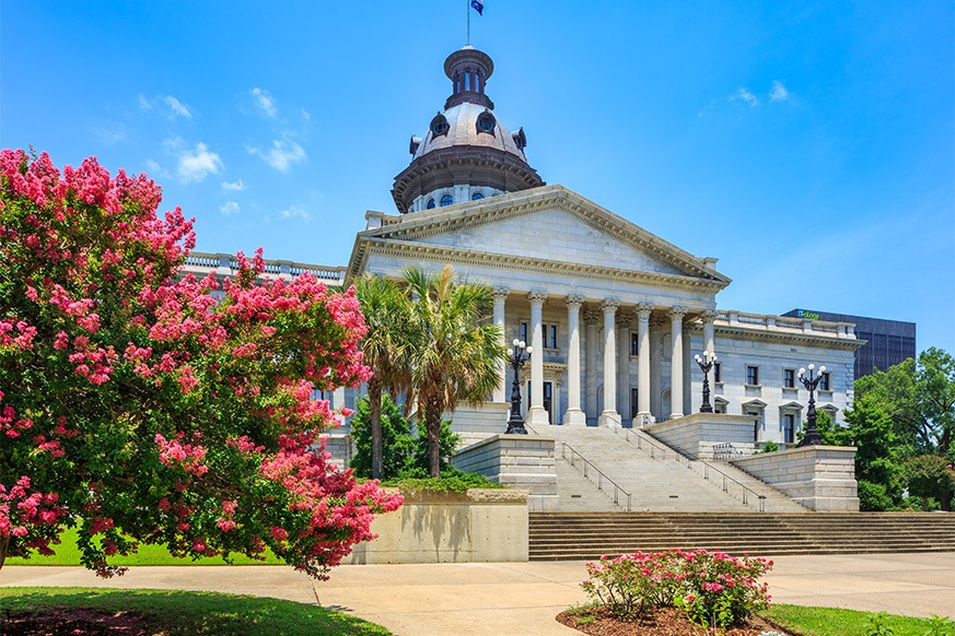 Capitol Builiding, Columbia South Carolina State House, springtime crepe myrtle Capitol Building, Columbia South Carolina State House, in the springtime with beautiful blooming crepe myrtle tree and a clear blue sky.